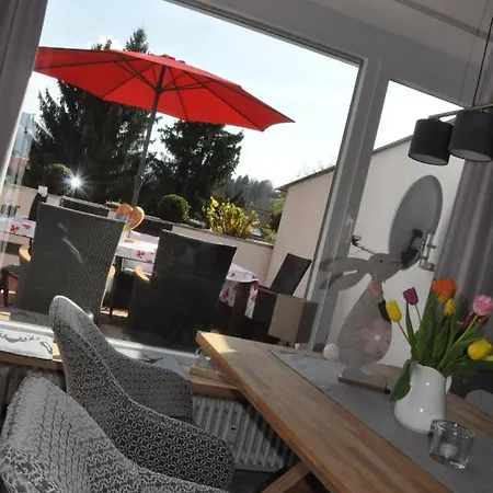 Almi - Alpenglueck Traumhafte Whg.m.20qm Dachterr. Appartement Oberstaufen