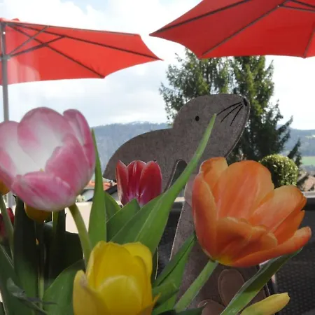 Almi - Alpenglueck Traumhafte Whg.m.20qm Dachterr. Appartement *